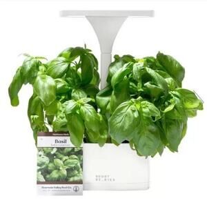 Short Stories LED Indoor Planter Modern LookWhite w/ USB Adapter NEW in BOX